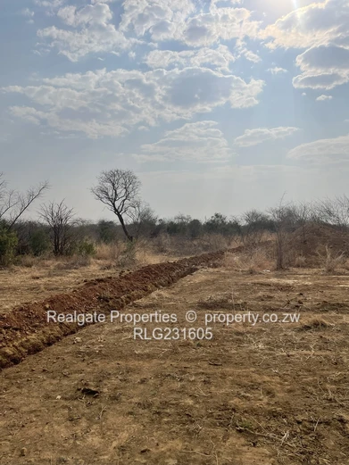 Townhouse Stands for Sale in Woodville