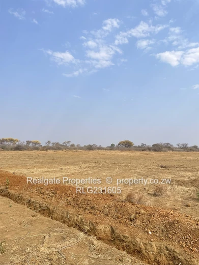 Townhouse Stands for Sale in Woodville