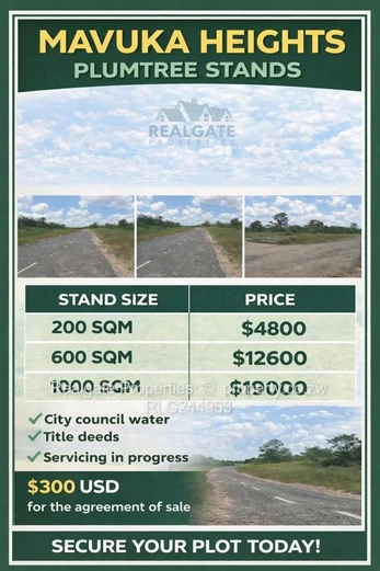 Plumtree Stands Now Available (Mavuka Heights)
