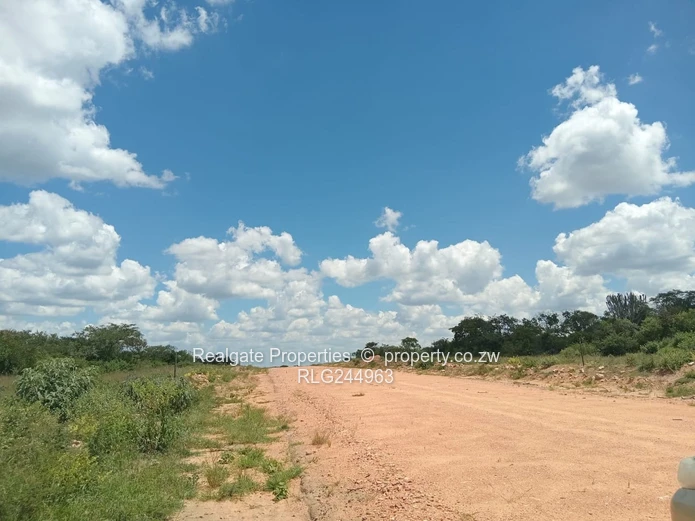 Plumtree Stands Now Available (Mavuka Heights)