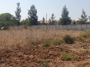 Stands & Residential Land