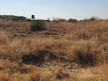 Stands & Residential Land