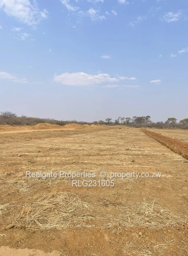 Townhouse Stands for Sale in Woodville