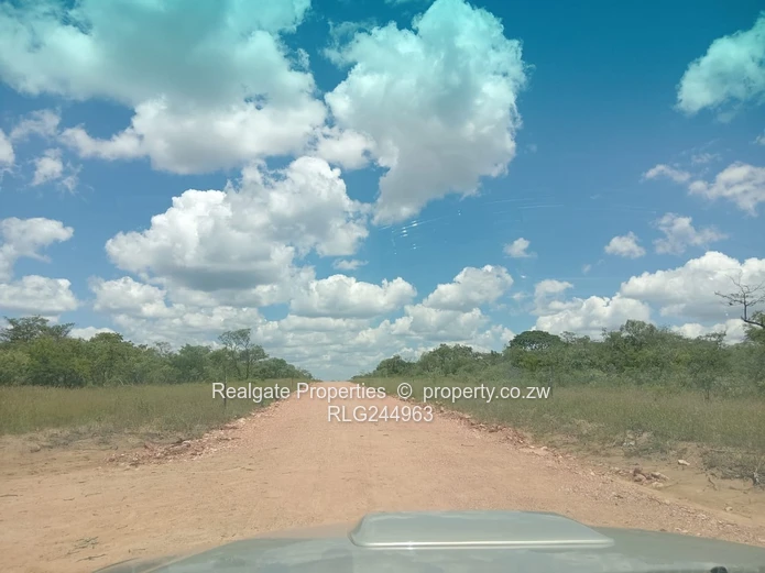 Plumtree Stands Now Available (Mavuka Heights)